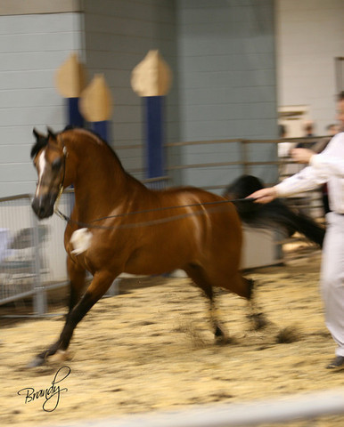 2009 Region 12 Spotlight