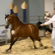 2009 Region 12 Spotlight
