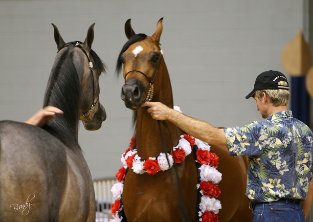 2009 Region 12 Spotlight