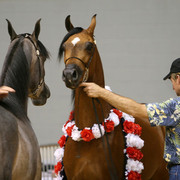 2009 Region 12 Spotlight