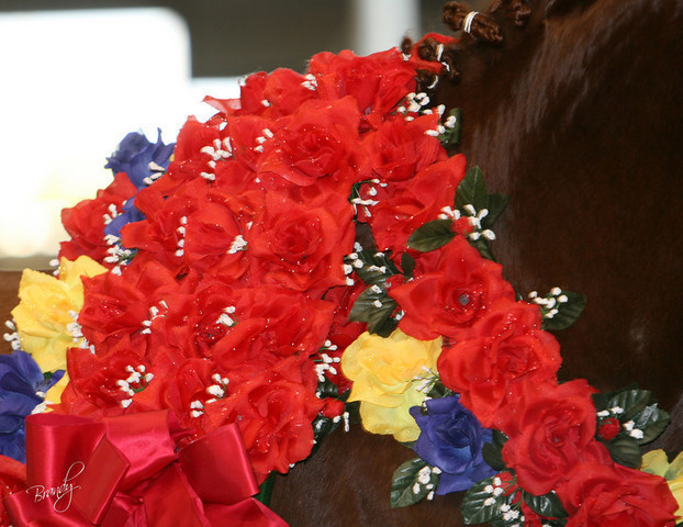 2009 Region 12 Spotlight