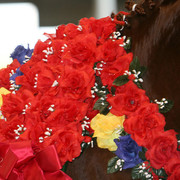 2009 Region 12 Spotlight