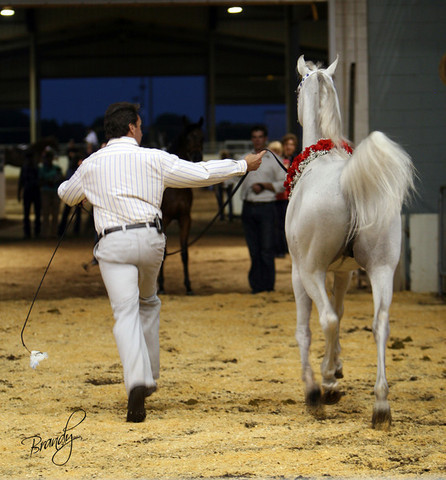 2009 Region 12 Spotlight