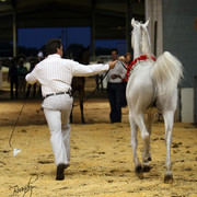 2009 Region 12 Spotlight