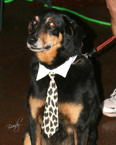 2009 Region 12 Spotlight