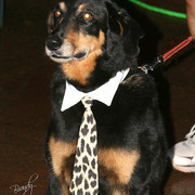 2009 Region 12 Spotlight