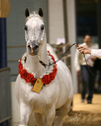 2009 Region 12 Spotlight