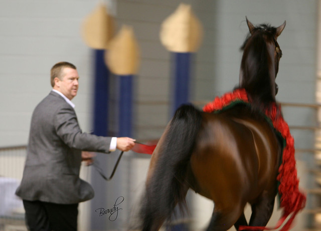 2009 Region 12 Spotlight