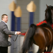 2009 Region 12 Spotlight