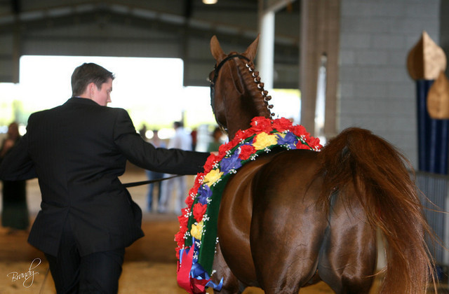 2009 Region 12 Spotlight
