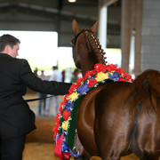 2009 Region 12 Spotlight