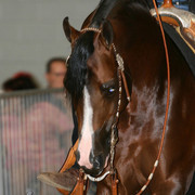 2009 Region 12 Spotlight