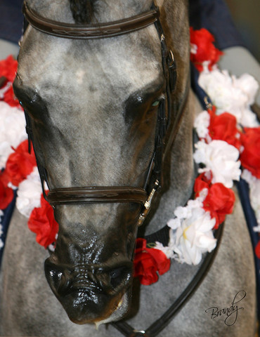 2009 Region 12 Spotlight