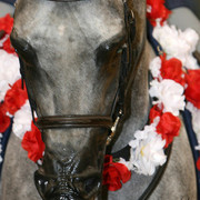 2009 Region 12 Spotlight