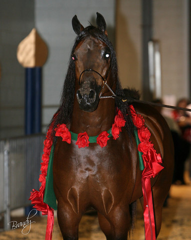 2009 Region 12 Spotlight