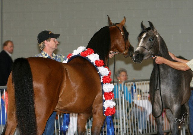 2009 Region 12 Spotlight