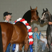 2009 Region 12 Spotlight