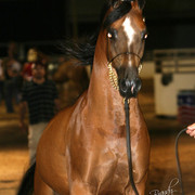 2009 Region 12 Spotlight