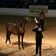 2009 Egyptian Event - Monday