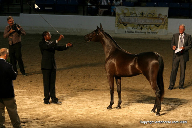 2009 Egyptian Event - Monday