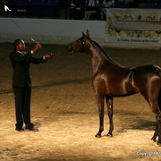 2009 Egyptian Event - Monday