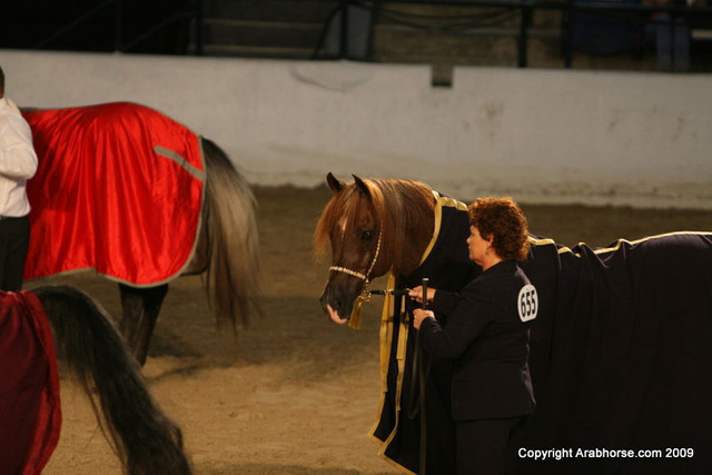 2009 Egyptian Event - Monday