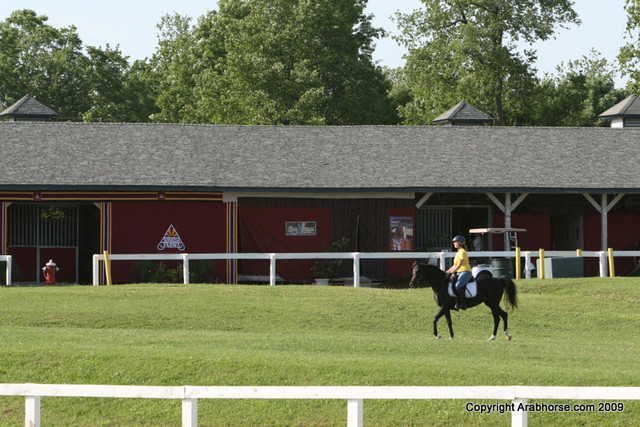 2009 Egyptian Event - Monday