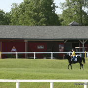 2009 Egyptian Event - Monday