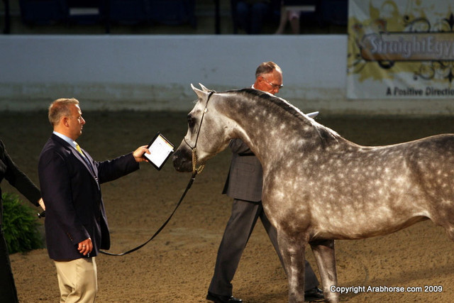 2009 Egyptian Event - Monday