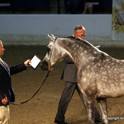 2009 Egyptian Event - Monday