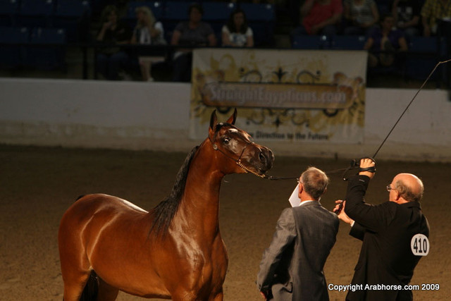 2009 Egyptian Event - Monday