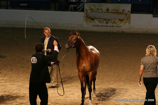 2009 Egyptian Event - Monday