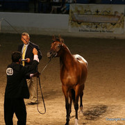 2009 Egyptian Event - Monday