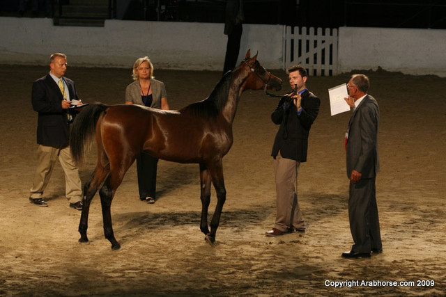 2009 Egyptian Event - Monday