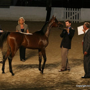 2009 Egyptian Event - Monday