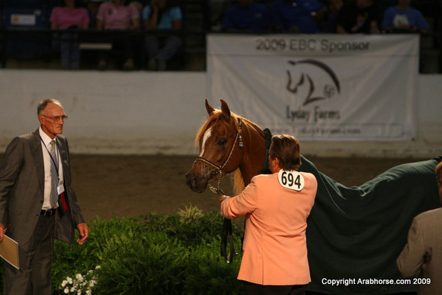 2009 Egyptian Event - Monday