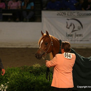 2009 Egyptian Event - Monday