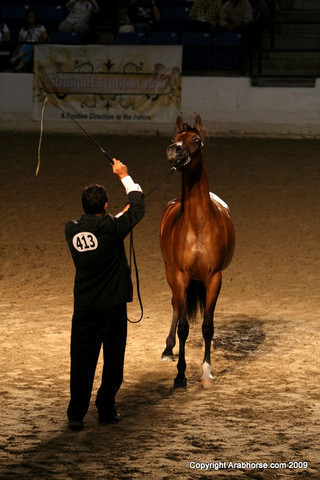 2009 Egyptian Event - Monday