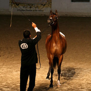 2009 Egyptian Event - Monday