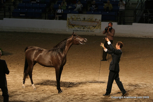 2009 Egyptian Event - Monday