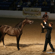 2009 Egyptian Event - Monday