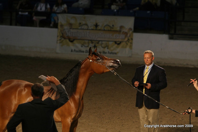 2009 Egyptian Event - Monday