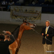 2009 Egyptian Event - Monday