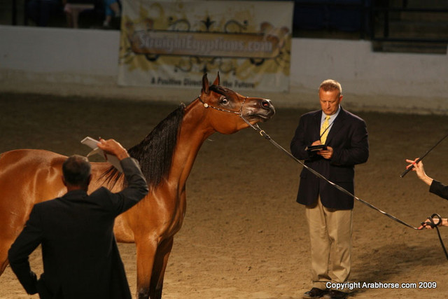 2009 Egyptian Event - Monday