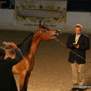 2009 Egyptian Event - Monday