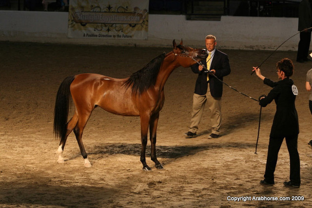 2009 Egyptian Event - Monday