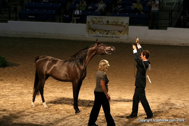 2009 Egyptian Event - Monday