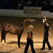 2009 Egyptian Event - Monday