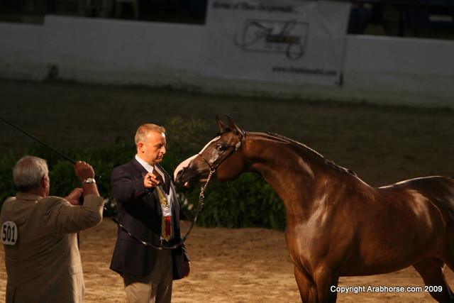 2009 Egyptian Event - Monday