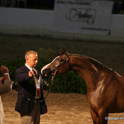 2009 Egyptian Event - Monday